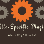 Site-Specific Plugin What Why How To